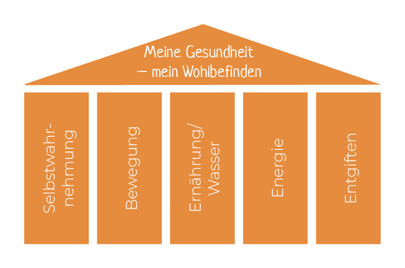 Schema Schema