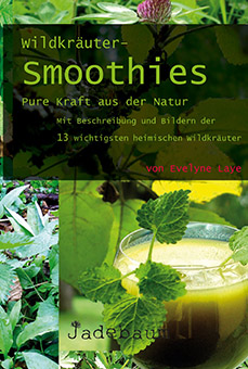 Wildkräuter-Smoothies – Pure Kraft aus der Natur (Evelyne Laye)